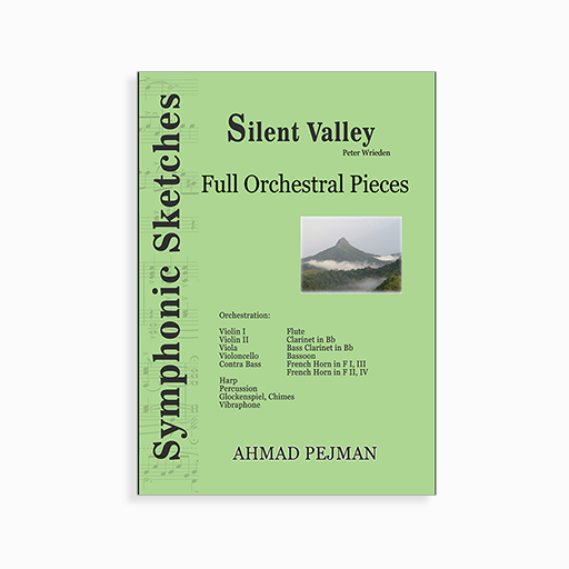 [P2146310055] Silent Valley Full Orchestral Piece
